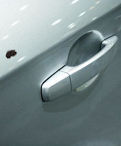 Auto Refinish Metal Panel